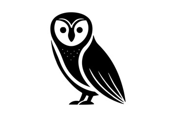 owl on white background