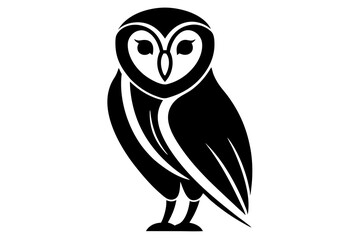 owl on white background