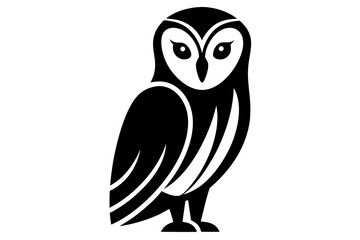 owl on white background