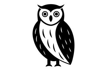 owl on white background