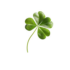 Four leaf clover symbolizing luck and good fortune