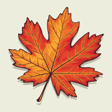 Warm colorful automn leaf vector art illustration design, automn festival.