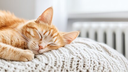 Peaceful ginger cat sleeping on a knitted blanket, basking in the warmth and coziness of a sunny indoor spot.