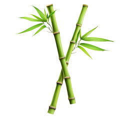 Obraz premium Crossed bamboo stalks with green leaves on a transparent background