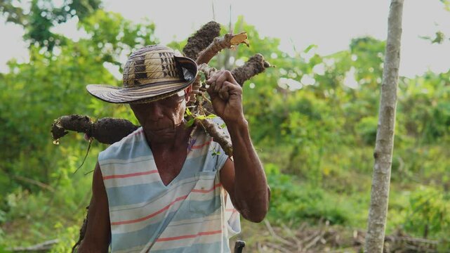 Campesino o trabajador del campo de la costa colombiana, cultivador de mata de yuca, tuberculo o raiz.  vestimenta de finca o campo con sombrero vueltiao, con machete, botas pantaneras y perro fiel.