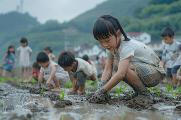 Several children are learning to plant rice seedlings in the field