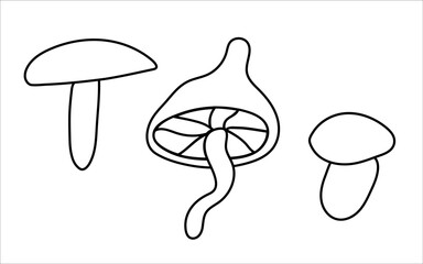 Hand-Drawn Coloring Collection Cozy Autumn Mushrooms of Vector Illustrations