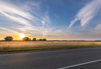 A road with a field of grass and a few trees in the background
