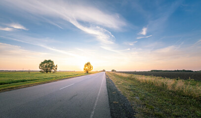 A road with a tree on it and a sky in the background