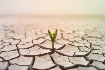 Green sprout on dry cracked earth. Nature's resilience. Environmental concept. For earth day, conservation message. Design, poster, flyer with copy space.