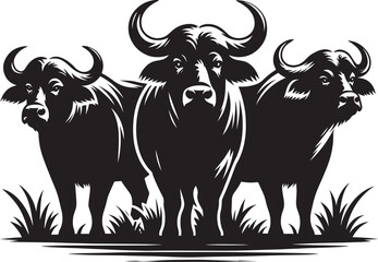 Group of Wild Buffalo Silhouette vector illustration isolated on a white background