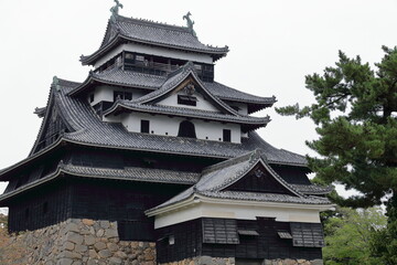 Fototapeta premium 松江城天守閣