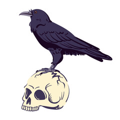 Black raven standing on a human skull. Vector illustration for Halloween. Witch's familiar, magical totem animal, guide to the afterlife. Symbol of death, witchcraft, mysticism and alchemy.