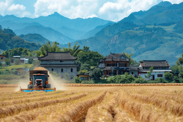 Naklejka premium During the harvest season, harvesters work in the fields
