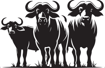 Group of Wild Buffalo Silhouette vector illustration isolated on a white background