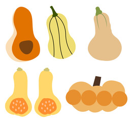  Simple pumpkin vector set perfect for autumn, Halloween, and fall designs.