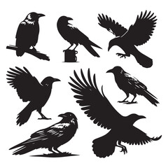 Obraz premium Set of crow silhouette vector on a white background