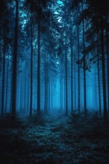 Obraz premium Mysterious Dark Forest with Foggy Atmosphere