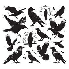 Obraz premium Set of crow silhouette vector on a white background