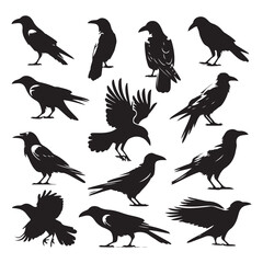 Fototapeta premium Set of crow silhouette vector on a white background