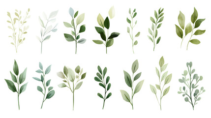 Watercolor illustrations of green leaves and branches.