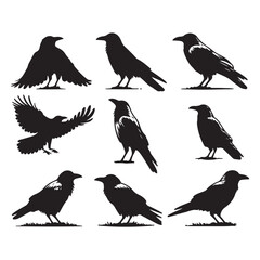 Fototapeta premium Set of crow silhouette vector on a white background