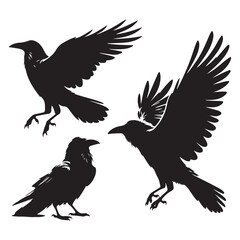 Obraz premium Set of crow silhouette vector on a white background