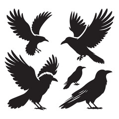 Set of crow silhouette vector on a white background