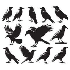 Obraz premium Set of crow silhouette vector on a white background