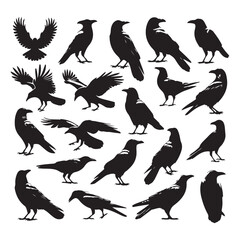 Obraz premium Set of crow silhouette vector on a white background
