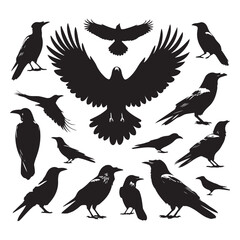 Obraz premium Set of crow silhouette vector on a white background