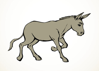 Vector drawing. Cute old mule