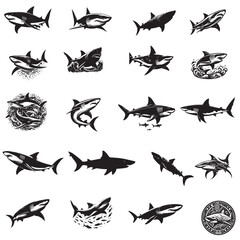  White shark vector silhouette 