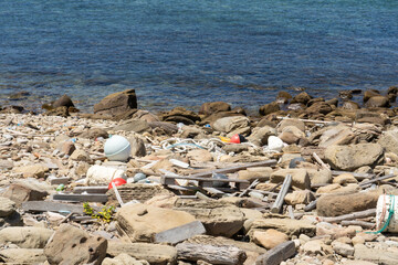 海岸に漂着したゴミ