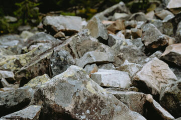 A close-up view of textured rocks and boulders scattered across a forested area in a natural landscape during daylight hours