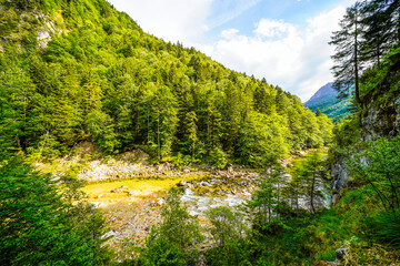 Obraz premium Nature in the Tiefenbachklamm between Kramsach and Brandenberg. Landscape with a river and rocks in the Alpbachtal. 