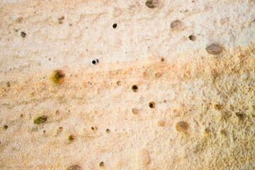 Structure of a plastered, coarse-pored wall
