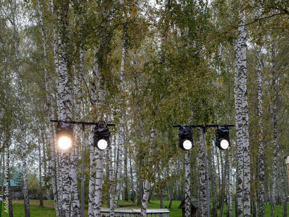 Poster a forest with lights on trees