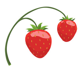 Fresh and Delicious Strawberry for Your Culinary Creations