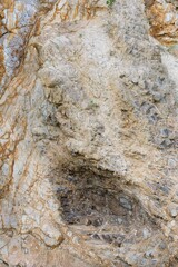 the old coastal rock