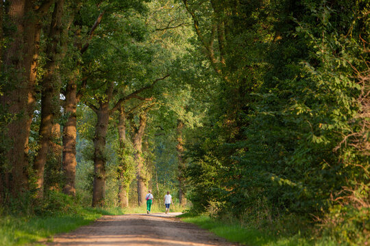 two women walk on dirt road in dutch area achtyerhoek near doetinchem