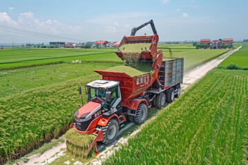 Fototapeta premium During the harvest season, harvesters work in the fields