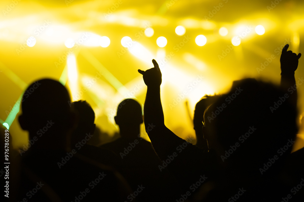 Canvas Prints Crowd at concert and colorful stage lights.