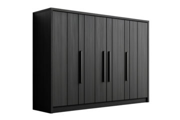 Modern black cabinet with sleek design and multiple doors