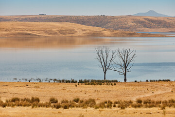 Fototapeta premium Flooded environment with dead trees. Badajoz, Siberia extremena. Spain