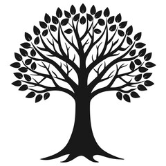 Obraz premium tree with roots and white background