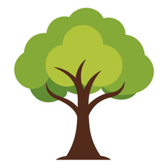 tree with green leaves