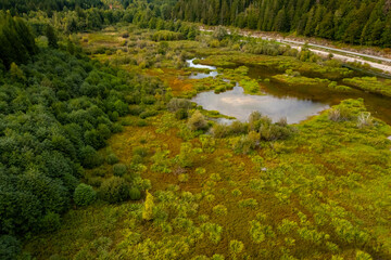 Aerial view of mountain road between forest and river. Ecosystem, ecology, healthy environment, road trip