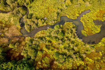 Aerial view of lush river delta after rain