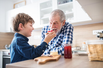 Obraz premium Boy feeding grandpa with bread. Grandfater and boy making breakfast in the kitchen, while parents are at work.